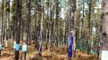 'Bosque de Oma', los 854 árboles de perspectiva y color de Ibarrola