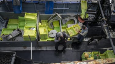 "Estaban en shock": Así fue el rescate del pesquero de Santander