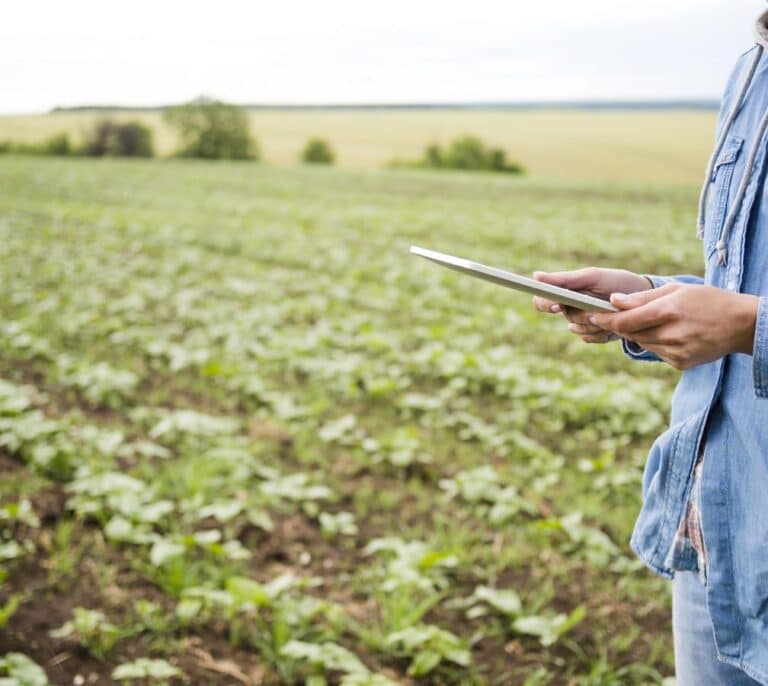 La agroindustrialización: el futuro del sector agroalimentario