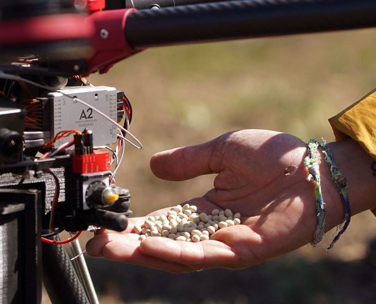 Los drones permiten dispensar hasta 450.000 semillas inteligentes por día para reforestar bosques