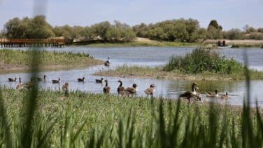 Expertos y aficionados, unidos para medir con datos el impacto de la sequía en la biodiversidad