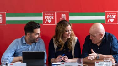 Dimite el número tres del PSOE andaluz para defenderse de su implicación en el caso Maracena