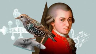 La 'musa' de Mozart era el pájaro más vulgar de Europa