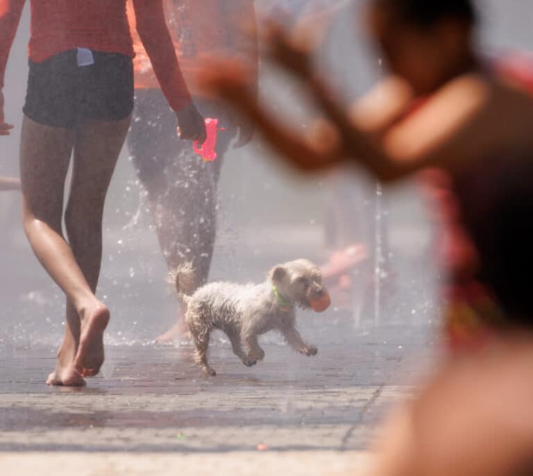 ¿Refugios climáticos o lugares peligrosos? Las dudas de abrir o cerrar los parques durante las olas de calor