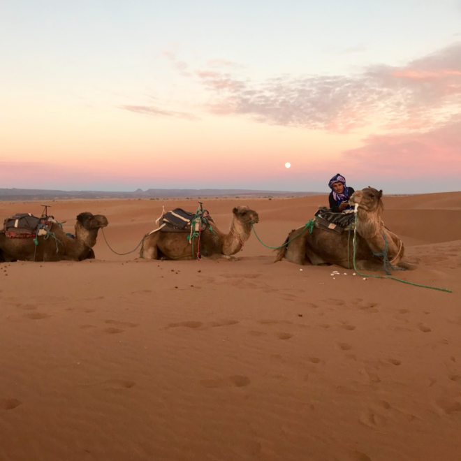 La ciudad de Marrakech de Marruecos, que que es uno de los destinos baratos para viajar en verano 2023