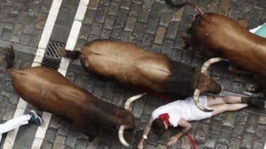 Sprint de los toros de La Palmosilla en el primer encierro de los Sanfermines