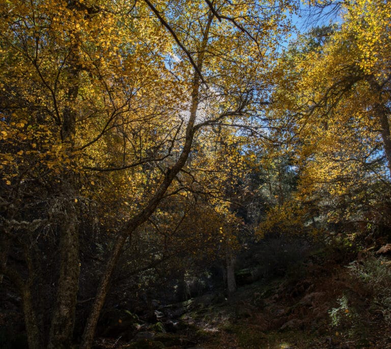 La biodiversidad no tiene ideología