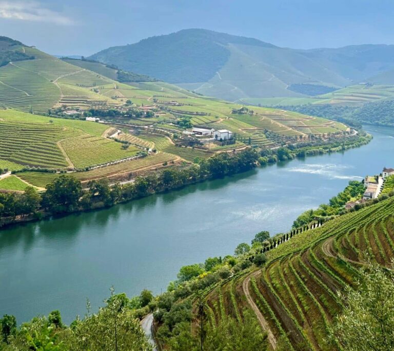 Viticultura heroica: los vinos cultivados en lugares 'imposibles' que el cambio climático pone en riesgo