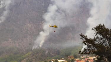 El gobierno de Canarias confirma que el incendio de Tenerife fue provocado