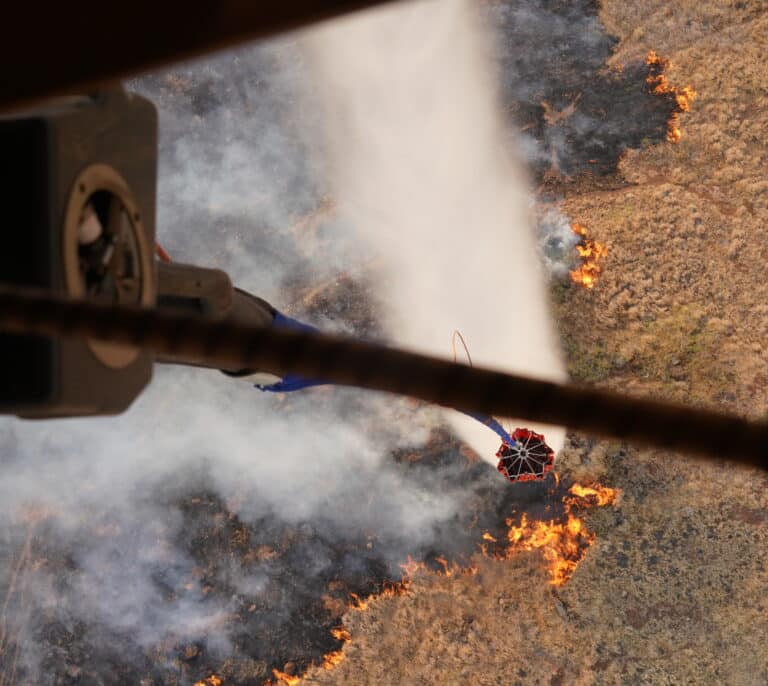 Estados Unidos declara el estado de emergencia en Hawái por la "devastación generalizada" en la isla de Maui