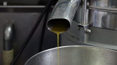 Robo de aceite de película en Córdoba del "mejor lote de la bodega" valorado en 500.000 euros