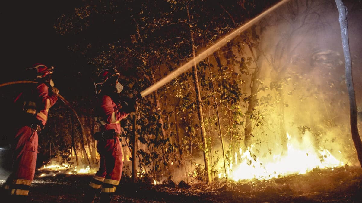 Efectivos de la UME en labores de extinción del incendio forestal que afecta a la isla de Tenerife
