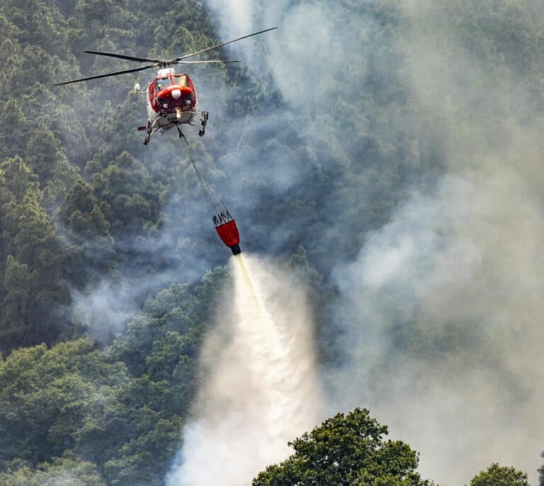 El 'megaincendio' provocado de Tenerife: 13.000 hectáreas calcinadas y una zona declarada "catastrófica"