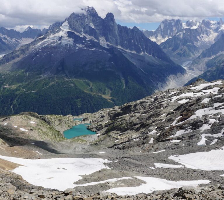 Ecosistemas postglaciares: el nuevo mundo que surgirá del deshielo