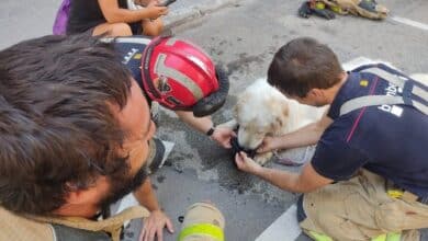 La Policía rescata a un perro que llevaba tres días encerrado en un balcón, al sol, sin agua ni comida