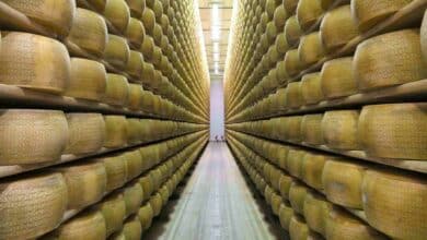 Muere un empresario italiano aplastado por 25.000 quesos Grana Padano