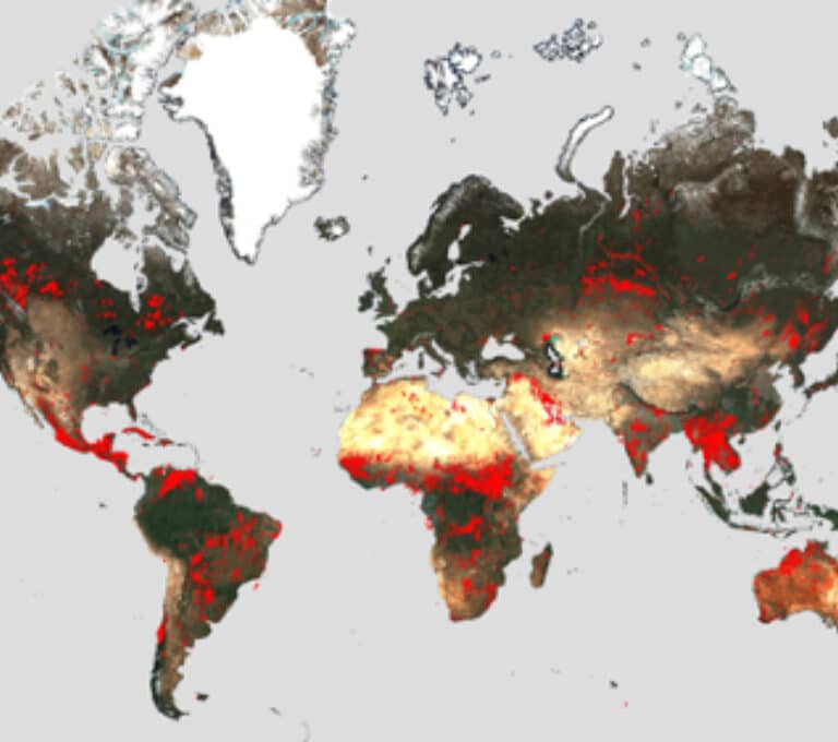 El Atlas Mundial de los incendios: Europa ha perdido 230.000 hectáreas en 2023