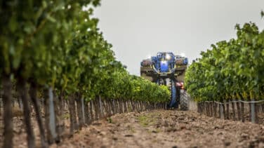 Muere un hombre de 58 años mientras trabajaba en labores agrícolas en Montilla (Córdoba)