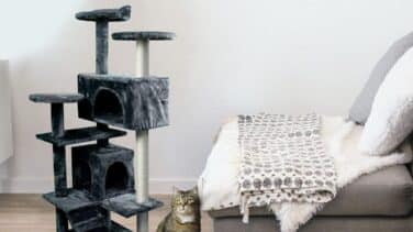 Máxima comodidad para tu gato con este castillo rascador ¡que cuesta menos de 55 euros!