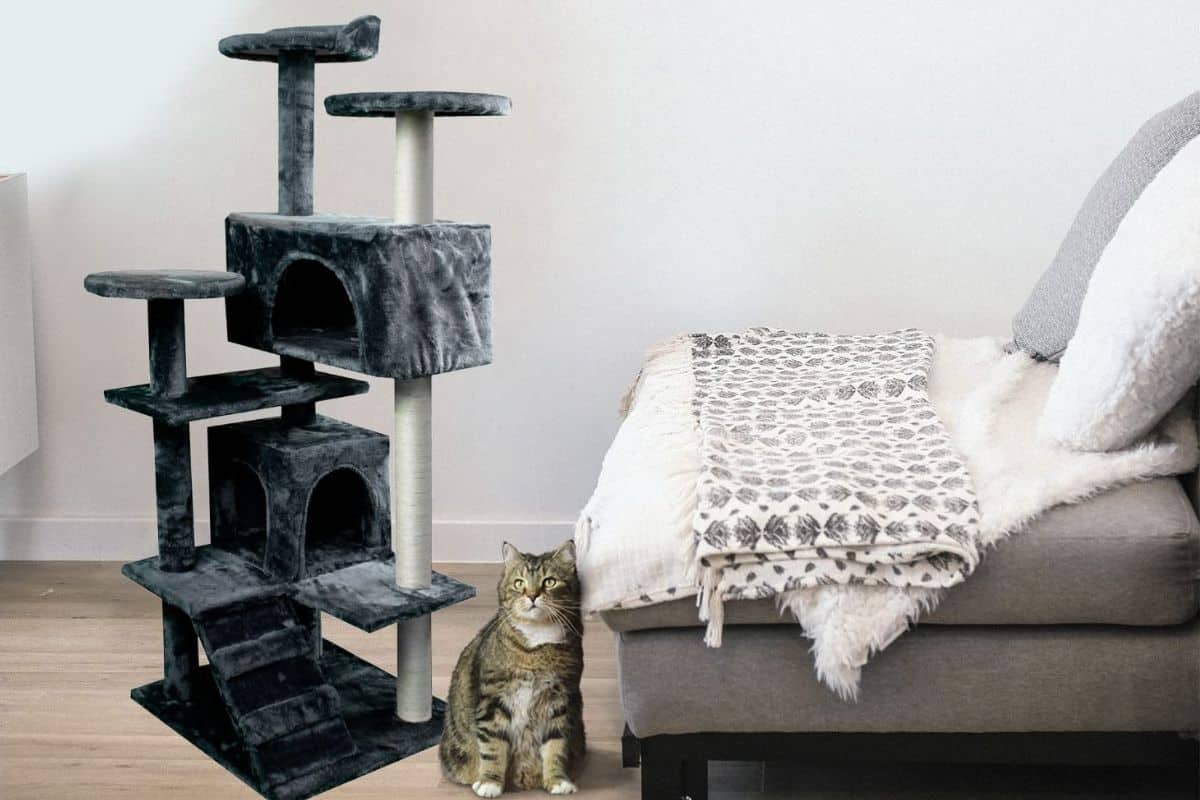 El rascador para gatos más vendido en  parece un castillo y tiene  muchos aparatados para su entretenimiento