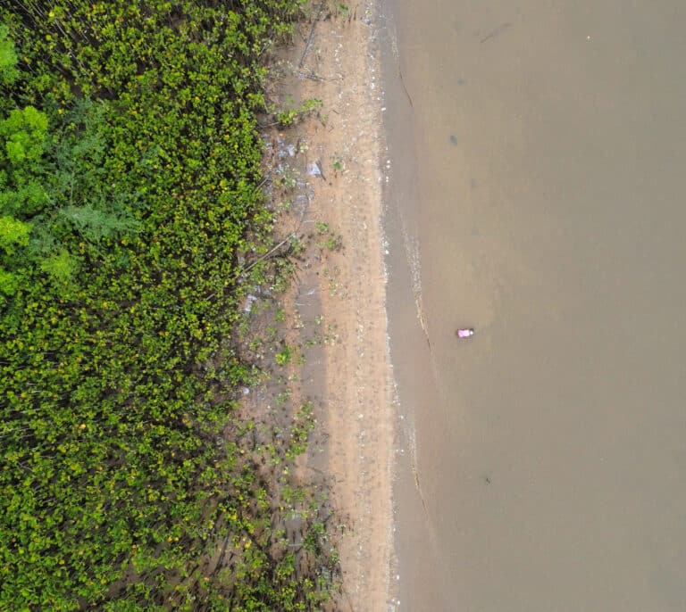 El 90% de las empresas que aseguran realizar proyectos ambientales no son capaces de reportar beneficios ecológicos