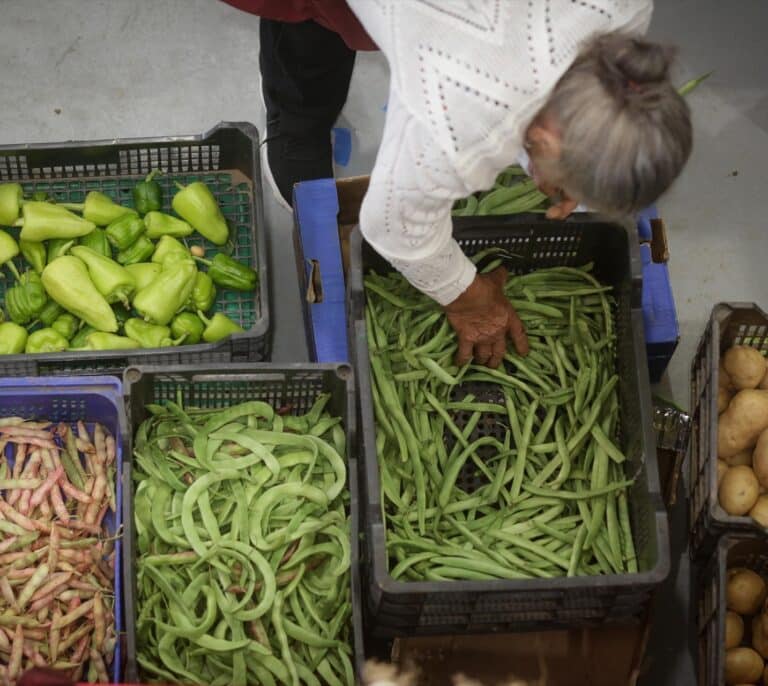 España ya registra la inflación de los alimentos más alta del euro