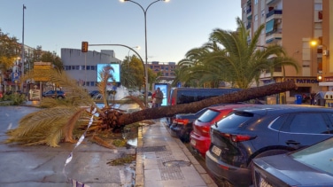 Segundo fallecido por la borrasca Bernard que ha dejado más de 2.000 incidencias en Andalucía