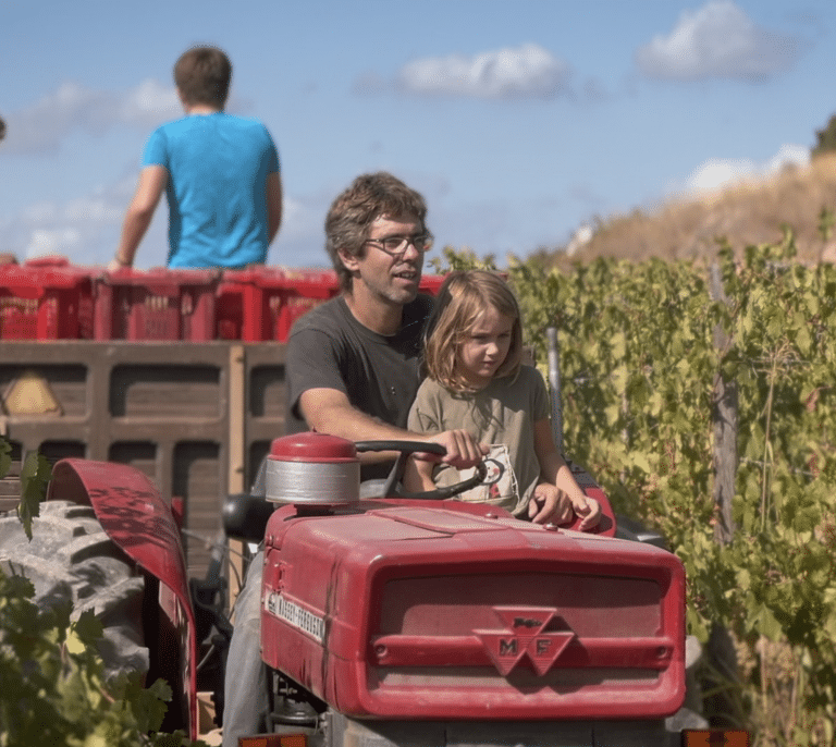 La rebelión de los pequeños viticultores contra el Goliat de la industria