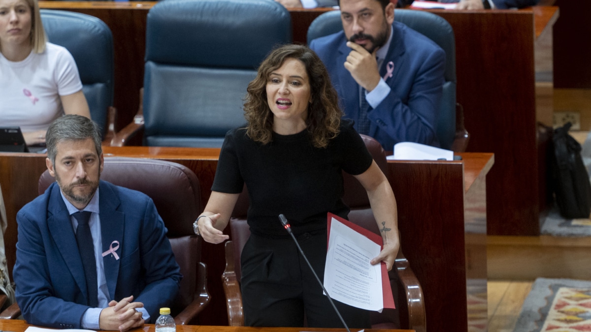 Isabel Díaz Ayuso, en la Asamblea de Madrid.