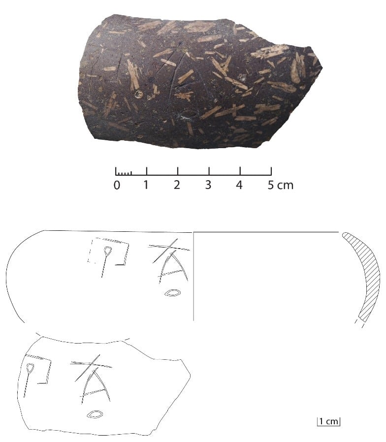 Fragmento de un recipiente de piedra hallado recientemente en la tumba de la reina Meret-Neith. Presenta una inscripción incisa con el nombre de Meret-Neith a la derecha y la mención del tesoro real a la izquierda