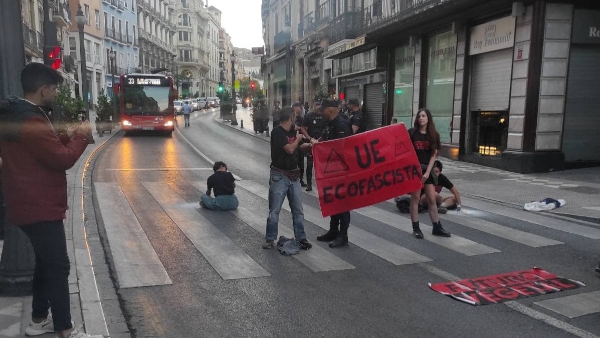 Activistas de Futuro Vegetal se pegan al asfalto en el centro de Granada.