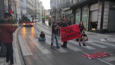 Activistas de Futuro Vegetal se pegan en el centro de Granada para denunciar la cumbre "ecofascista"