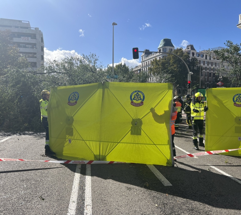 Muere una joven en Madrid tras caerle un árbol de dos toneladas por el fuerte viento