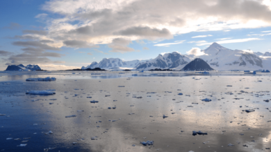 El caso del glaciar Cadman, un deshielo imprevisible: "Es un punto de inflexión"