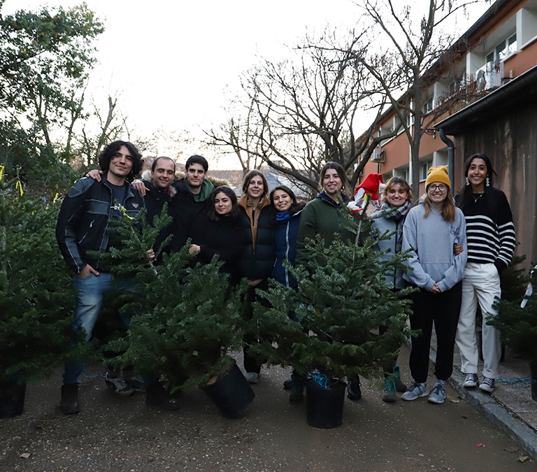 Los beneficios de los árboles de Navidad naturales: "Algunos ecologistas los criticaron de manera infantil"