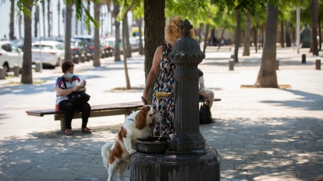 A dog drinks from a fountain in Barceloneta Park during a heat wave in 2022.
