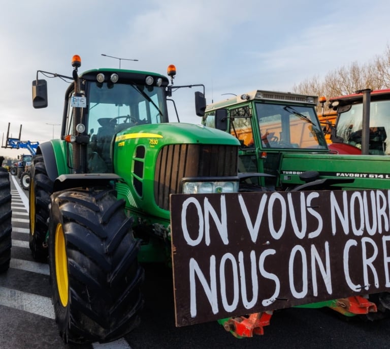 La mitad de las frutas y hortalizas que importa la UE de Marruecos van a Francia