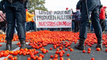 Los tomates y melones del Sáhara Occidental deben etiquetarse con su "país de origen" y no como de Marruecos