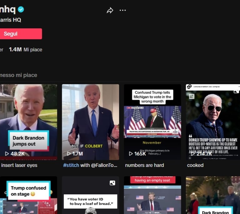 TikTok, influencers y publicidad: la campaña online de Joe Biden