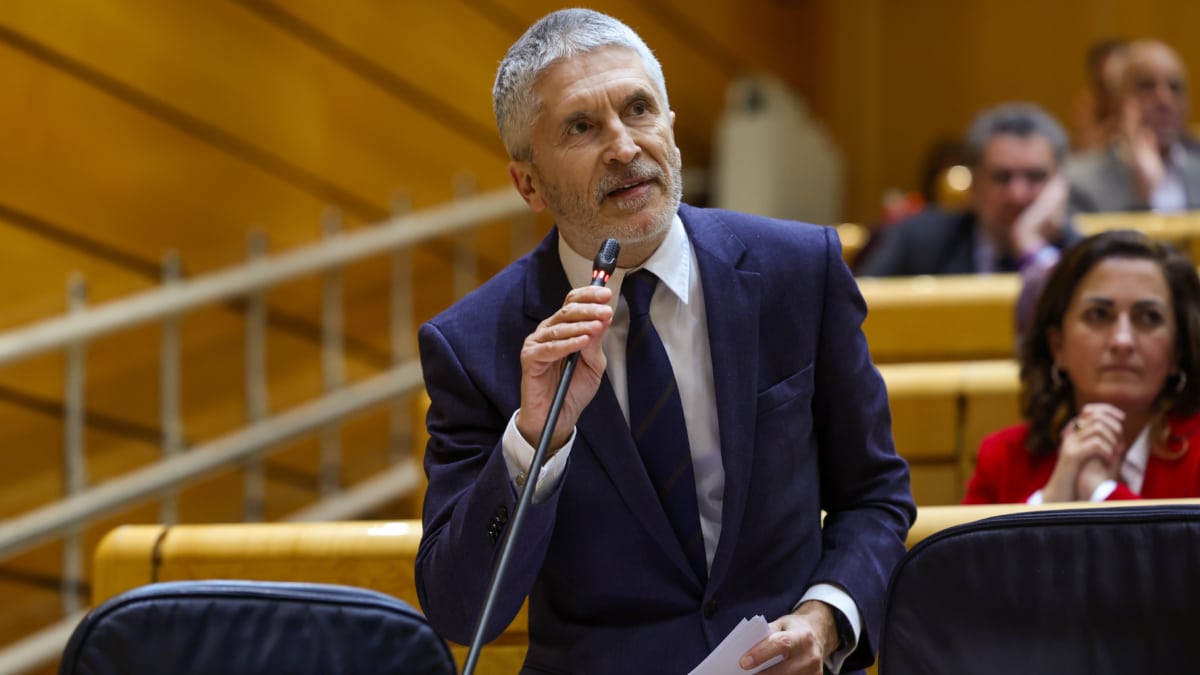 El ministro del Interior, Fernando Grande-Marlaska, interviene desde su escaño durante la sesión de control al Gobierno celebrada este martes por el pleno del Senado.