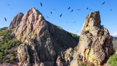 Monfragüe, el parque donde ver las aves más impresionantes de España