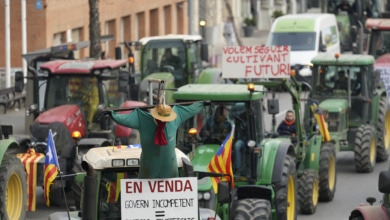 La Generalitat acusa al Gobierno de incrementar la burocracia  de la agricultura con 10 decretos en dos años