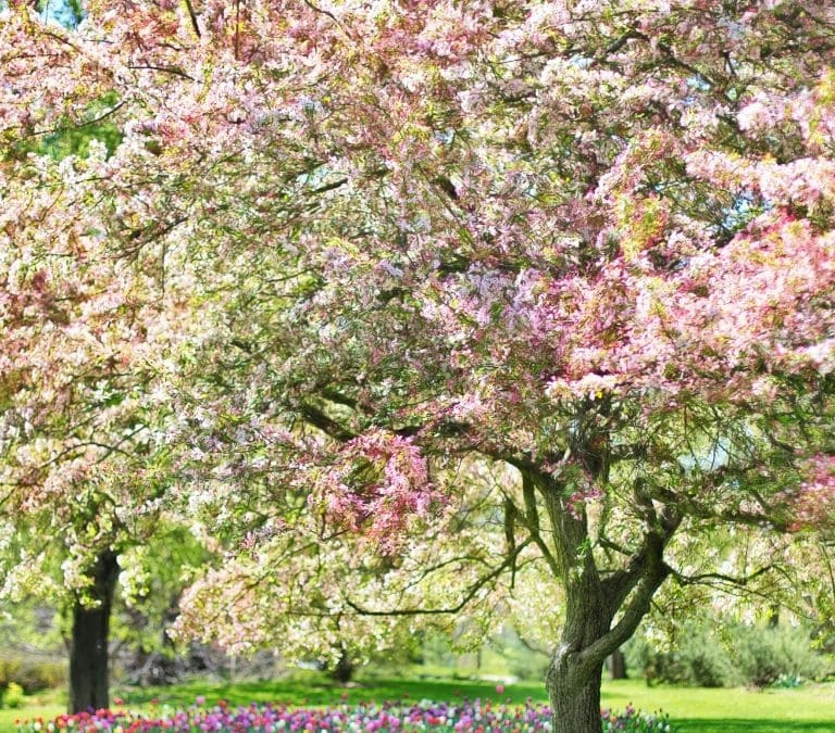 ¿Por qué el equinoccio de primavera es el 20 de marzo y no el 21?