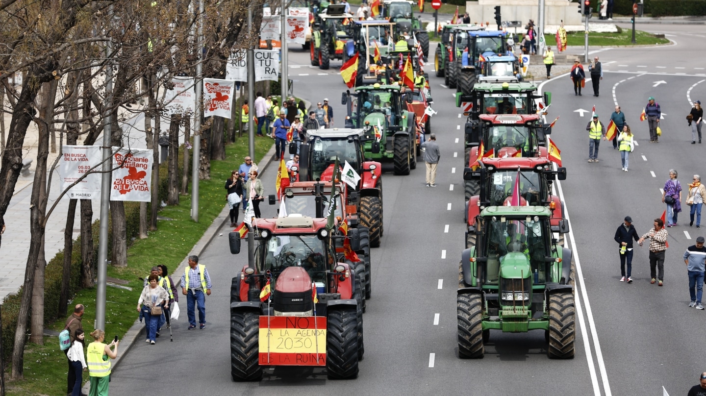 Agricultores y ganaderos participan en una tractorada de protesta en Madrid este domingo.