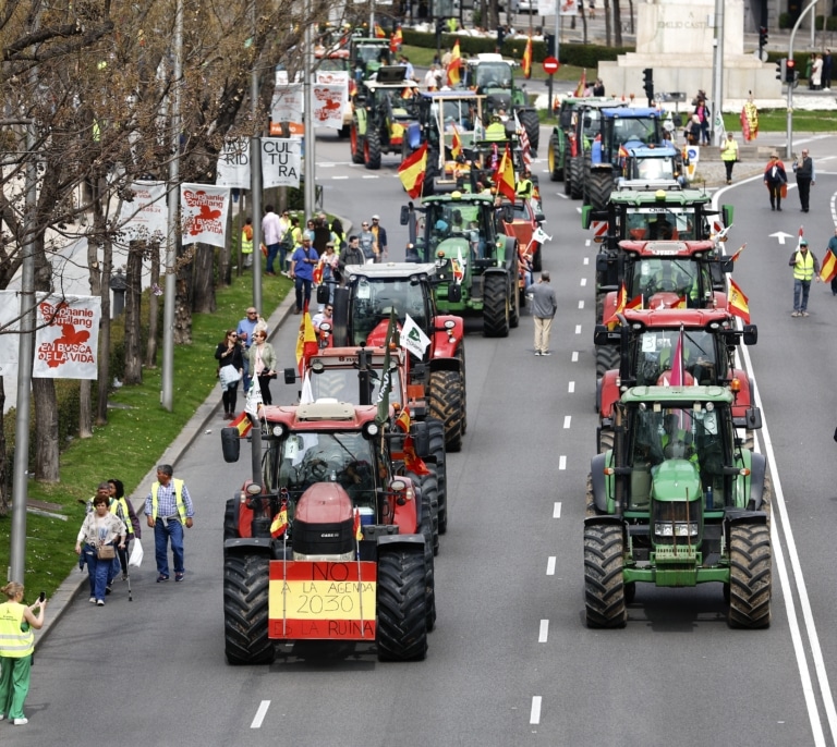 Temor en el campo por el pacto con Mercosur: ¿cómo afectará al pollo, al cerdo o a la miel española?