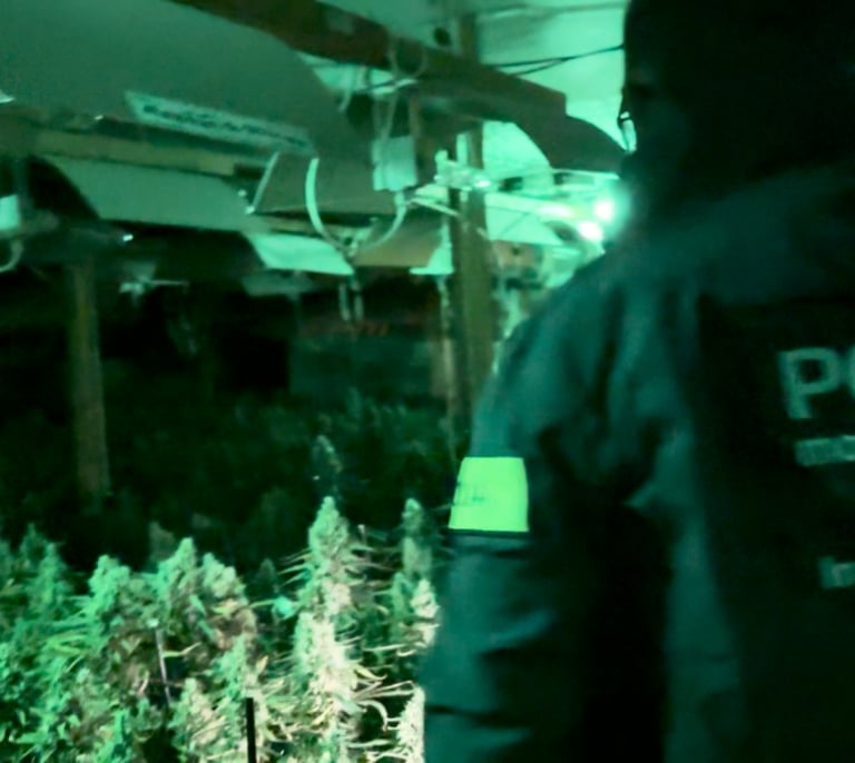 Detenidas 14 personas en Barcelona por cultivar marihuana en casas de lujo