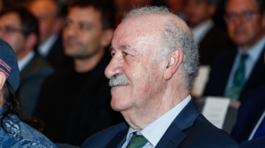 El Gobierno recurre a Del Bosque para representar al fútbol español y supervisar la Federación