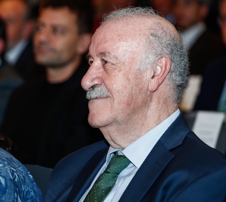 El Gobierno recurre a Del Bosque para representar al fútbol español y supervisar la Federación