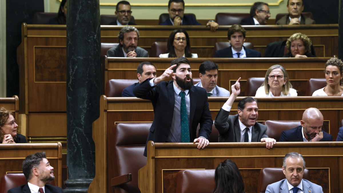 Los diputados de Vox, Manuel Mariscal (i) y Pedro Fernández, reaccionan a la intervención de Gerardo Pisarello, de Sumar, en el pleno del Congreso que ha aprobado la amnistía