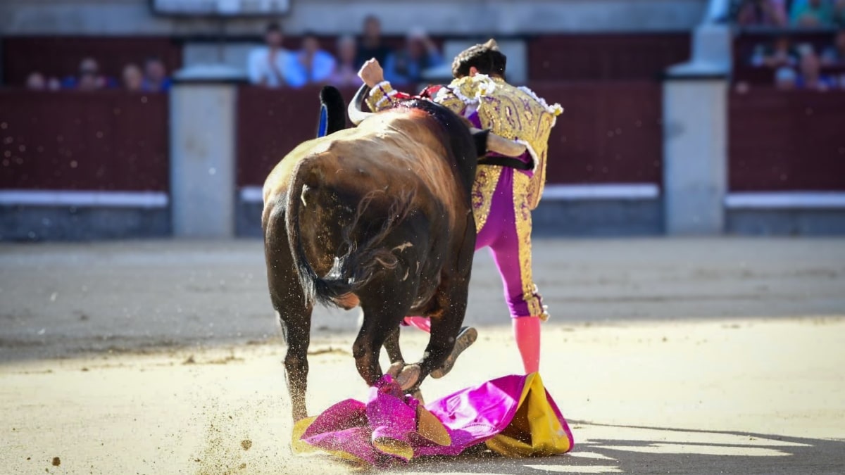 Cayetano Rivera Ordóñez ha resultado arrollado por el primer toro del Conde de Mayalde en la corrida en Las Ventas